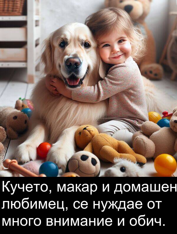 обич: Кучето, макар и домашен любимец, се нуждае от много внимание и обич.