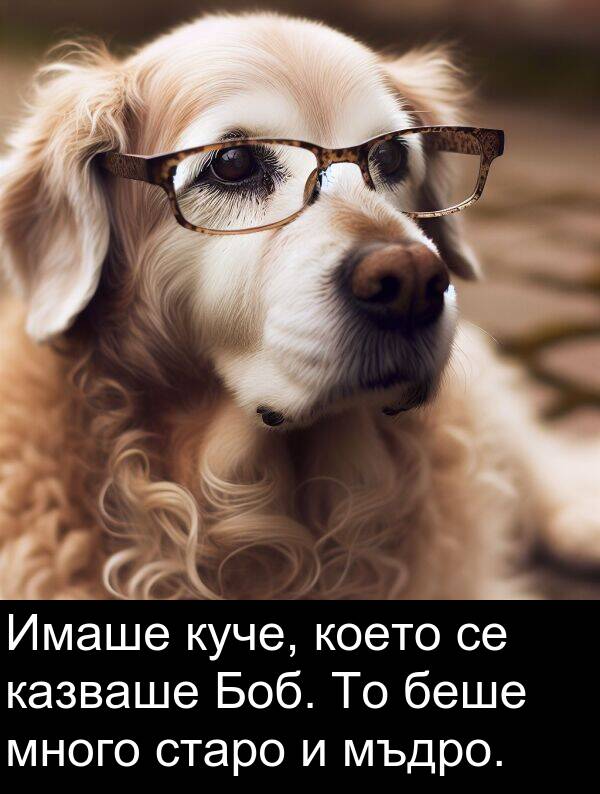 старо: Имаше куче, което се казваше Боб. То беше много старо и мъдро.