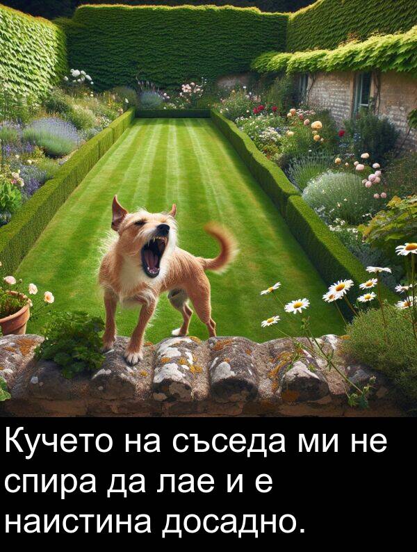 лае: Кучето на съседа ми не спира да лае и е наистина досадно.