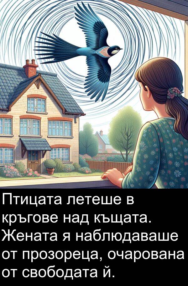 летеше: Птицата летеше в кръгове над къщата. Жената я наблюдаваше от прозореца, очарована от свободата й.