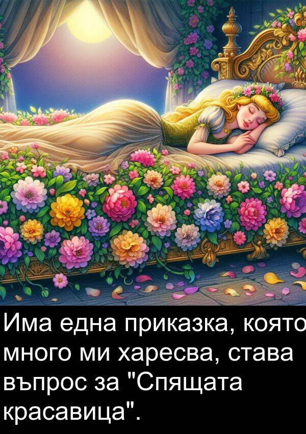 една: Има една приказка, която много ми харесва, става въпрос за "Спящата красавица".