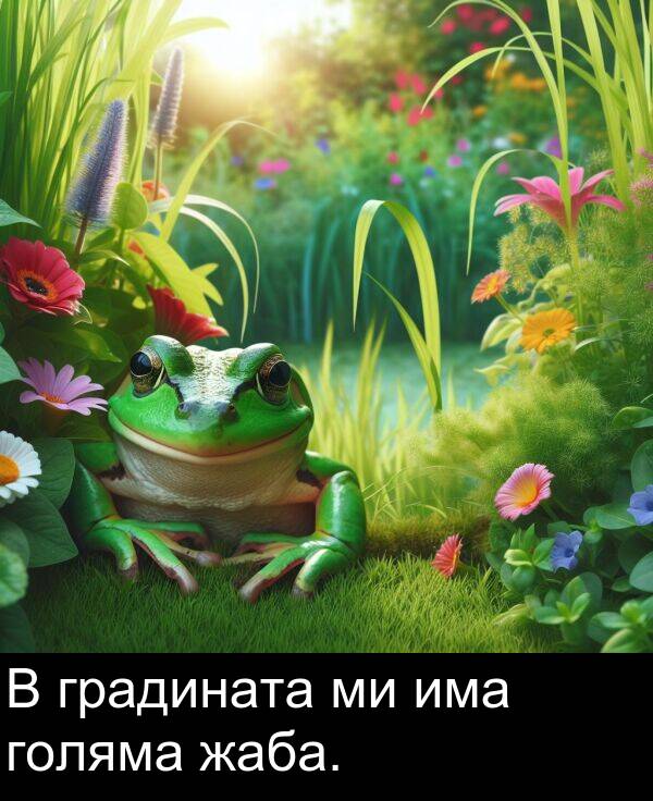 има: В градината ми има голяма жаба.