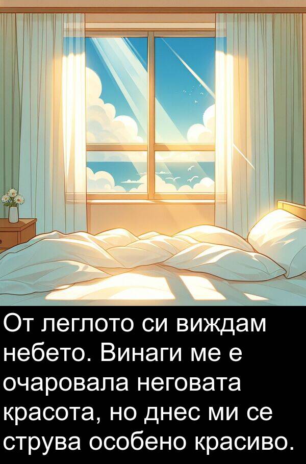 леглото: От леглото си виждам небето. Винаги ме е очаровала неговата красота, но днес ми се струва особено красиво.