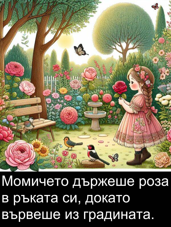 докато: Момичето държеше роза в ръката си, докато вървеше из градината.