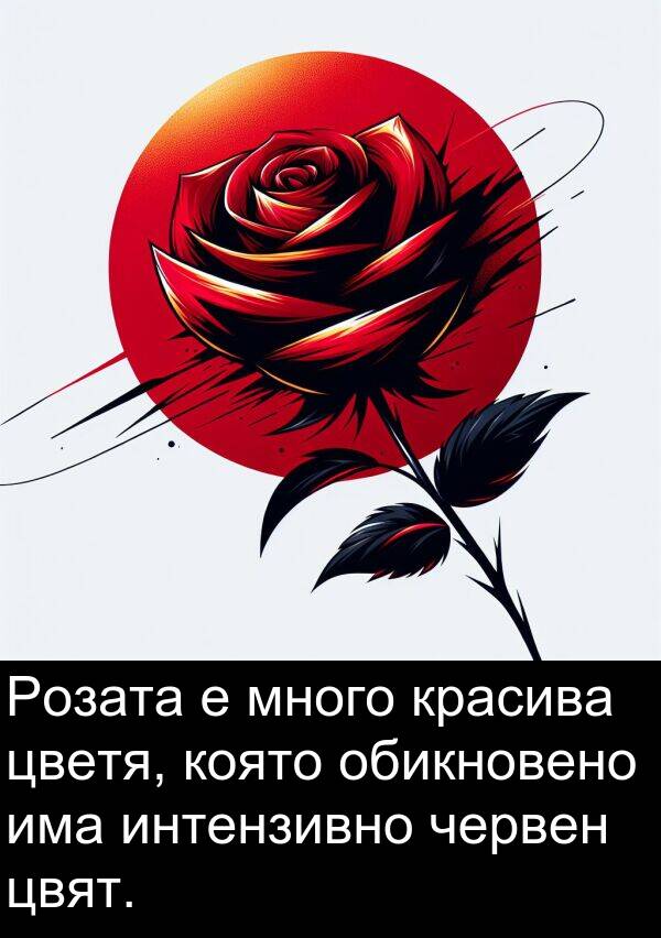обикновено: Розата е много красива цветя, която обикновено има интензивно червен цвят.