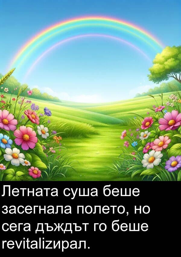 суша: Летната суша беше засегнала полето, но сега дъждът го беше revitalizирал.
