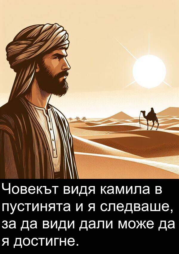 дали: Човекът видя камила в пустинята и я следваше, за да види дали може да я достигне.