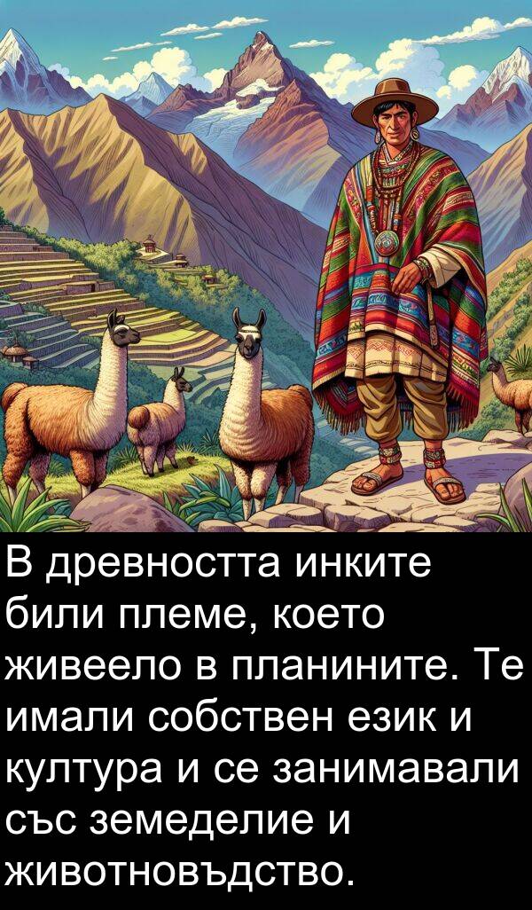 език: В древността инките били племе, което живеело в планините. Те имали собствен език и култура и се занимавали със земеделие и животновъдство.