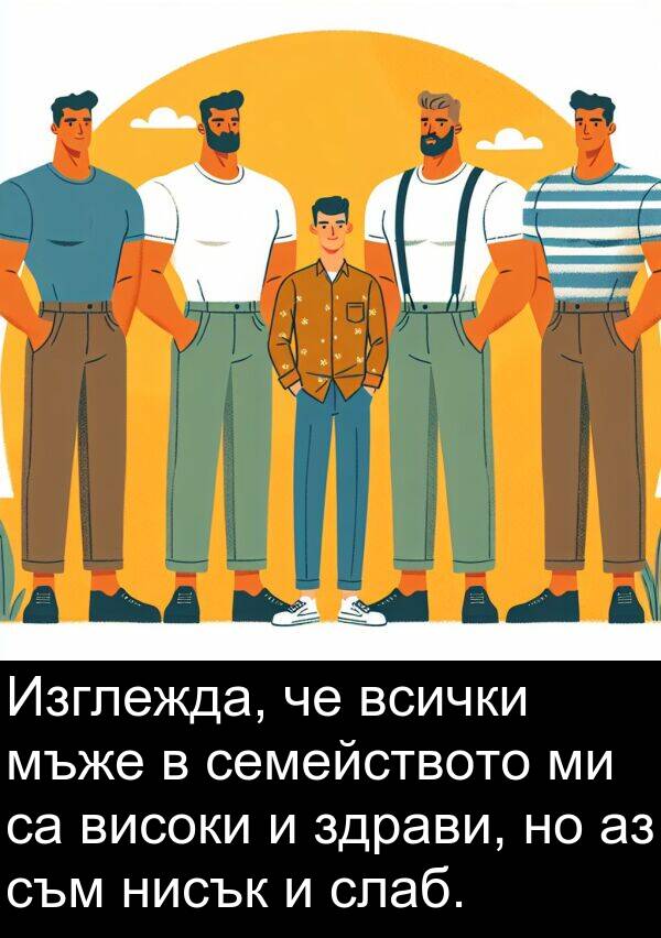 слаб: Изглежда, че всички мъже в семейството ми са високи и здрави, но аз съм нисък и слаб.
