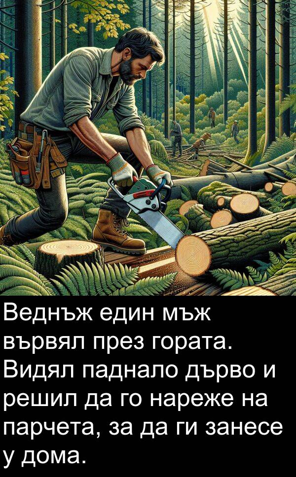 нареже: Веднъж един мъж вървял през гората. Видял паднало дърво и решил да го нареже на парчета, за да ги занесе у дома.