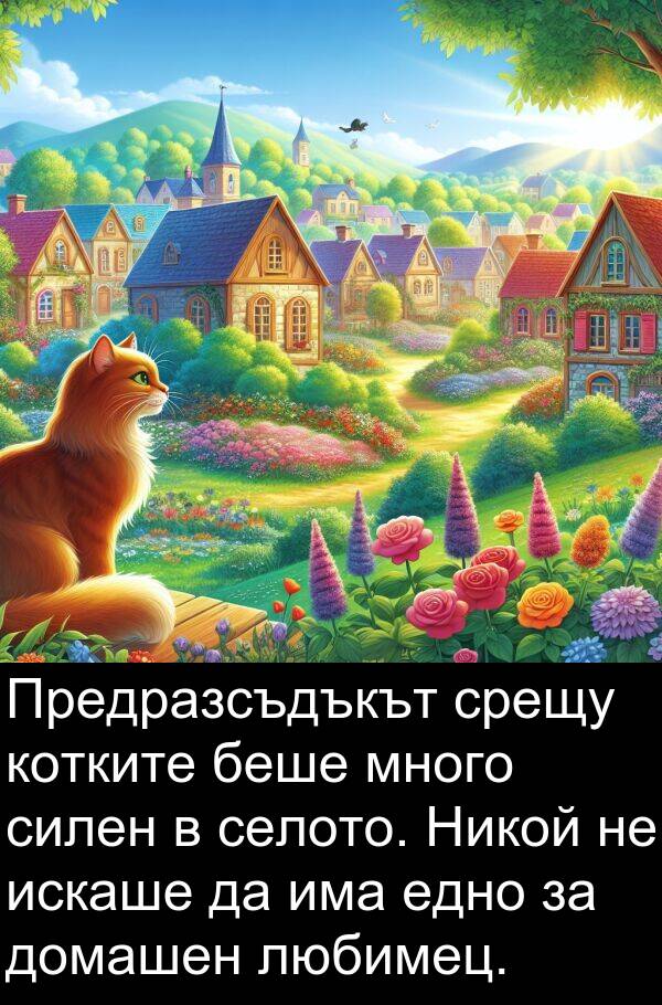 едно: Предразсъдъкът срещу котките беше много силен в селото. Никой не искаше да има едно за домашен любимец.