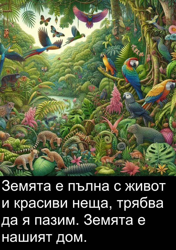 пазим: Земята е пълна с живот и красиви неща, трябва да я пазим. Земята е нашият дом.