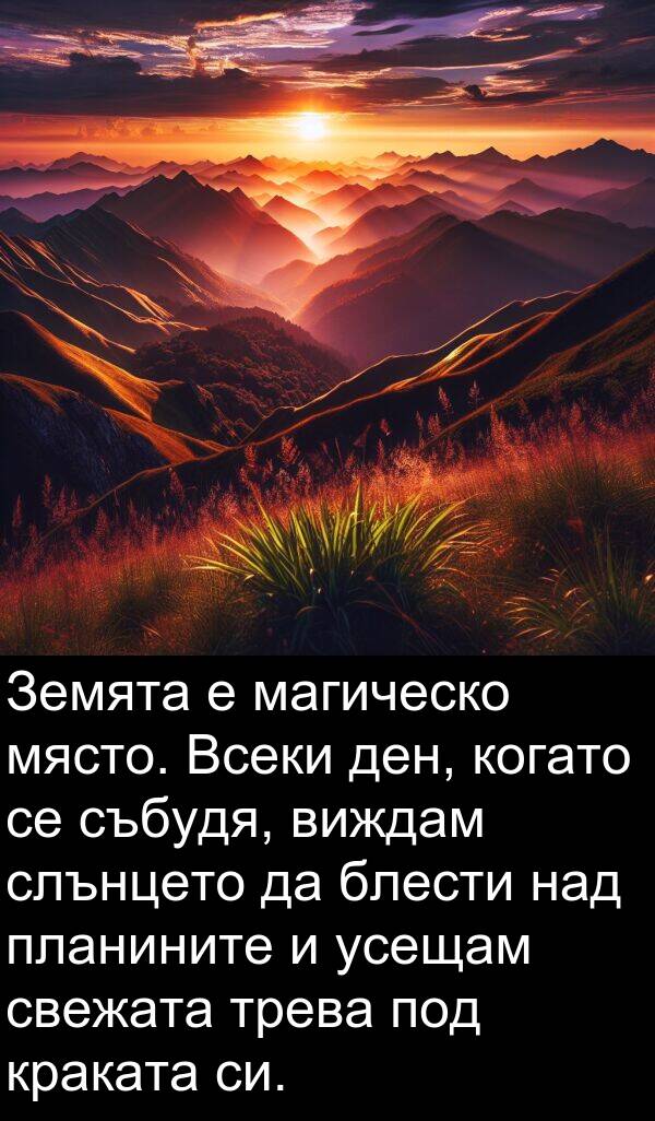 свежата: Земята е магическо място. Всеки ден, когато се събудя, виждам слънцето да блести над планините и усещам свежата трева под краката си.