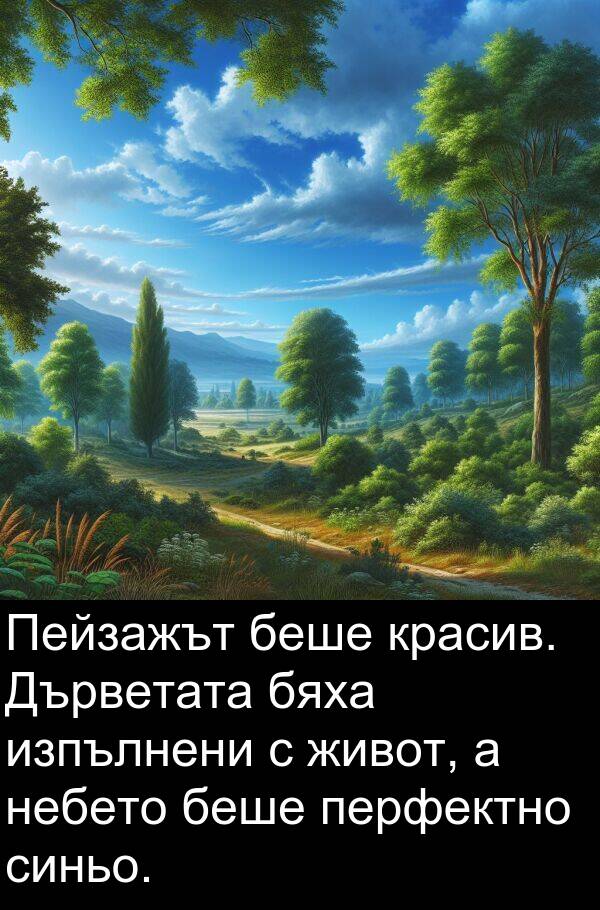 бяха: Пейзажът беше красив. Дърветата бяха изпълнени с живот, а небето беше перфектно синьо.
