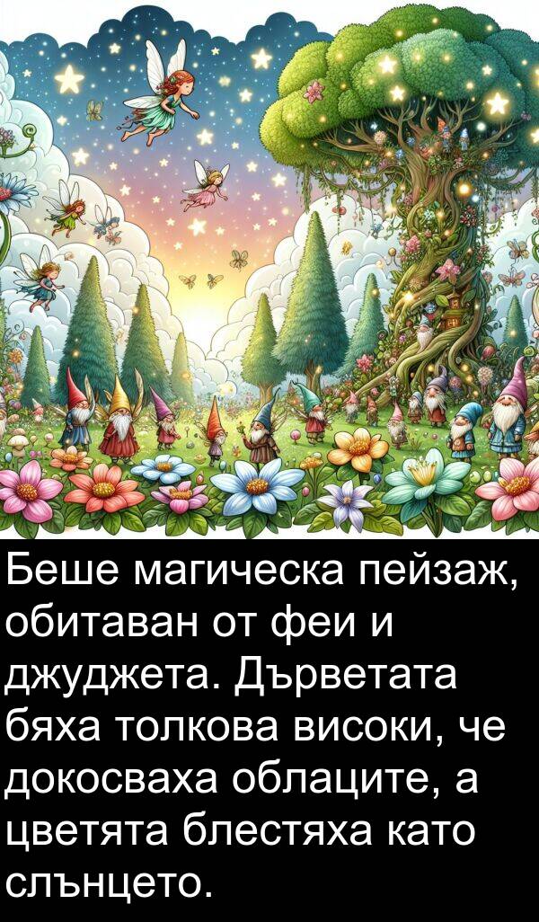 облаците: Беше магическа пейзаж, обитаван от феи и джуджета. Дърветата бяха толкова високи, че докосваха облаците, а цветята блестяха като слънцето.