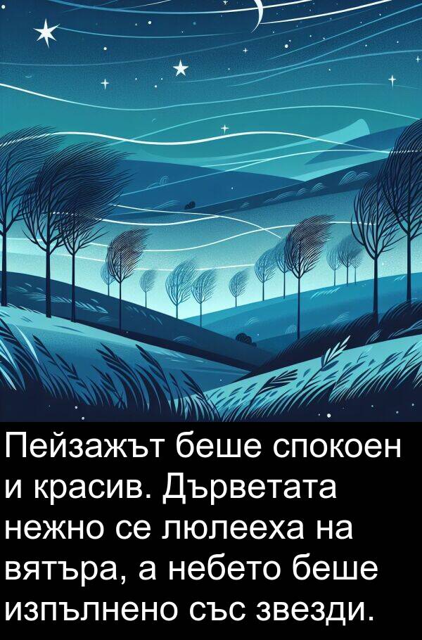 изпълнено: Пейзажът беше спокоен и красив. Дърветата нежно се люлееха на вятъра, а небето беше изпълнено със звезди.