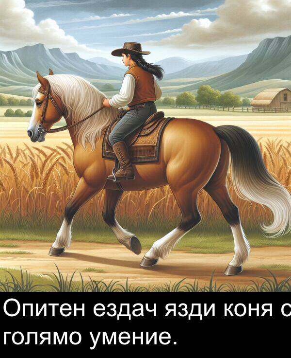 ездач: Опитен ездач язди коня с голямо умение.