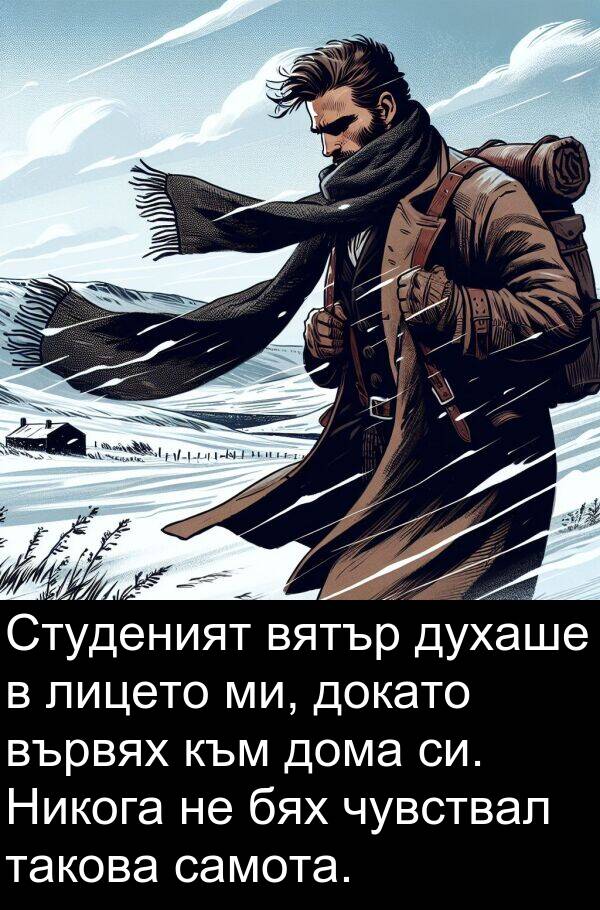 самота: Студеният вятър духаше в лицето ми, докато вървях към дома си. Никога не бях чувствал такова самота.