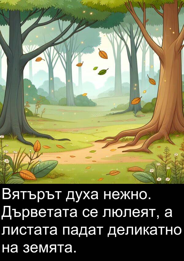 падат: Вятърът духа нежно. Дърветата се люлеят, а листата падат деликатно на земята.