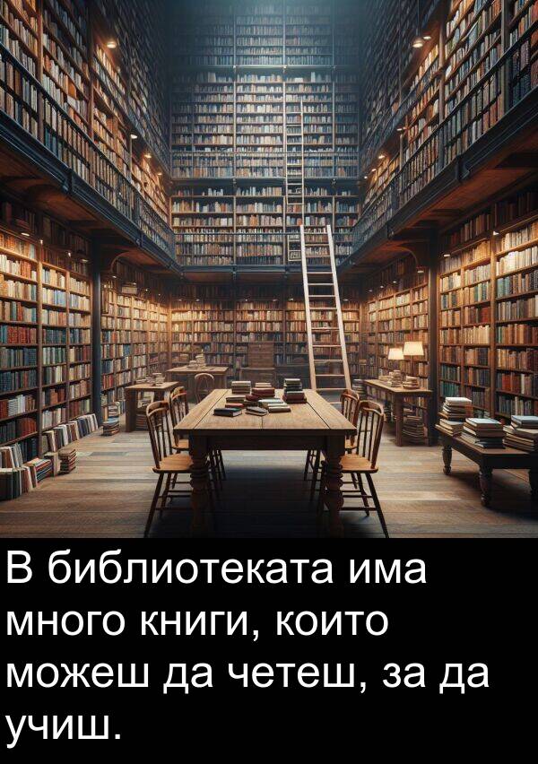 четеш: В библиотеката има много книги, които можеш да четеш, за да учиш.