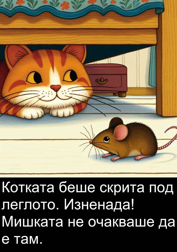 леглото: Котката беше скрита под леглото. Изненада! Мишката не очакваше да е там.