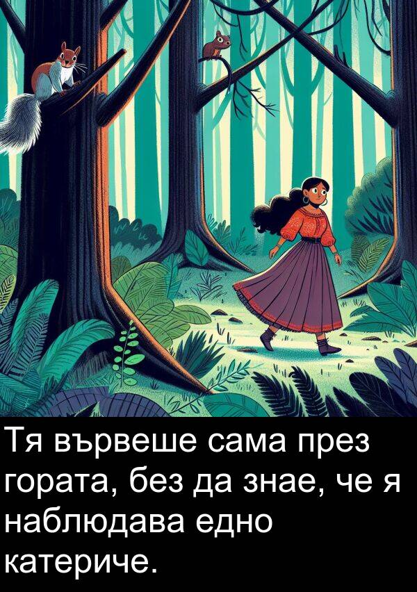 едно: Тя вървеше сама през гората, без да знае, че я наблюдава едно катериче.