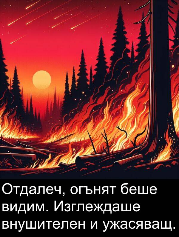 ужасяващ: Отдалеч, огънят беше видим. Изглеждаше внушителен и ужасяващ.