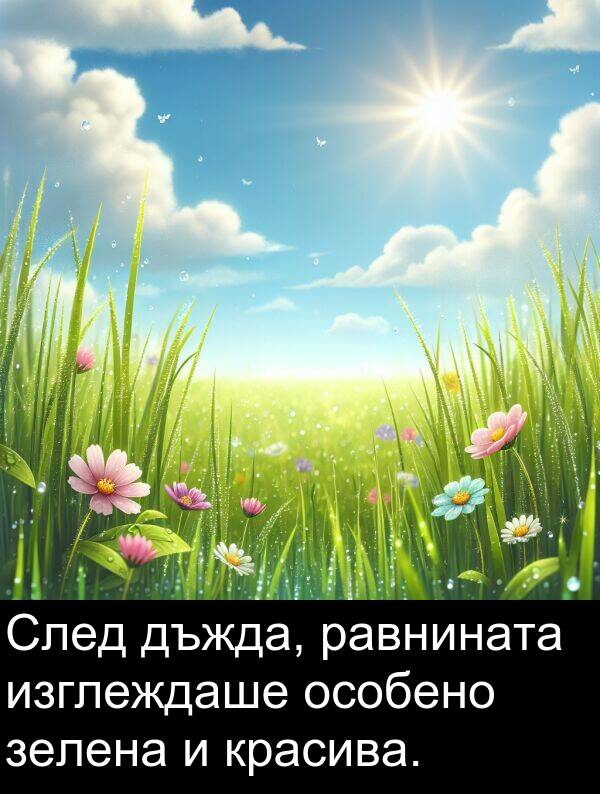 равнината: След дъжда, равнината изглеждаше особено зелена и красива.