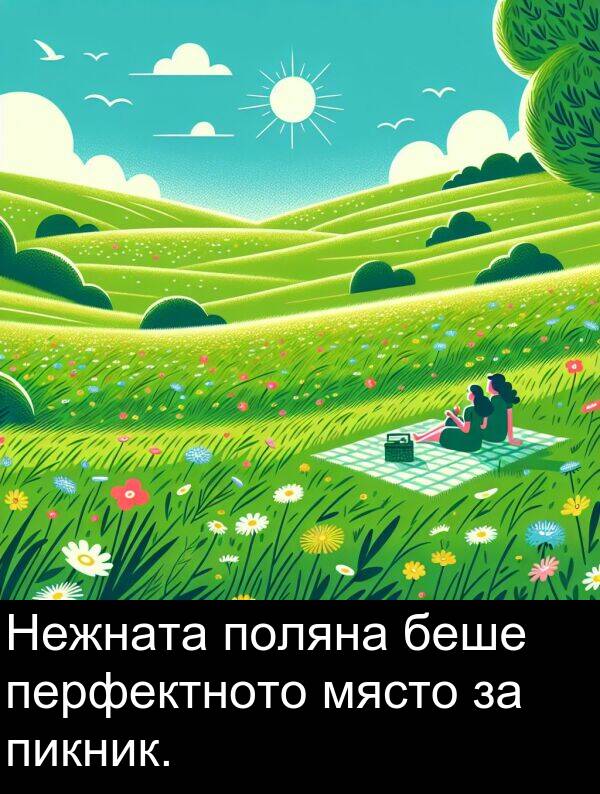 поляна: Нежната поляна беше перфектното място за пикник.