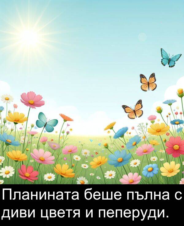 пълна: Планината беше пълна с диви цветя и пеперуди.