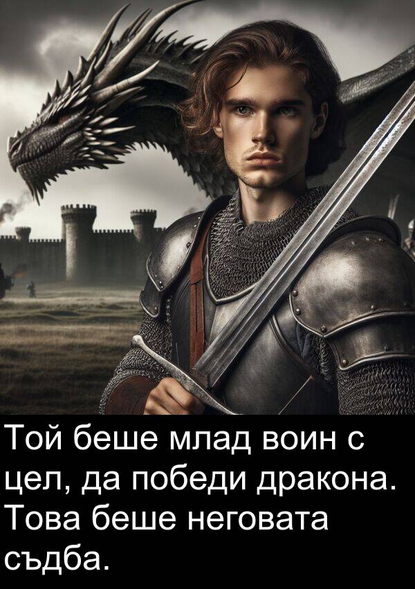 съдба: Той беше млад воин с цел, да победи дракона. Това беше неговата съдба.