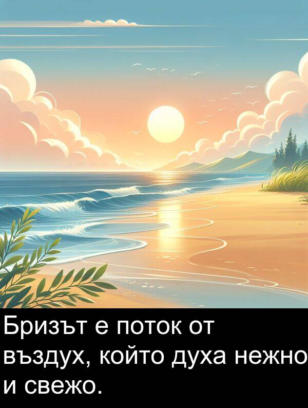 свежо: Бризът е поток от въздух, който духа нежно и свежо.