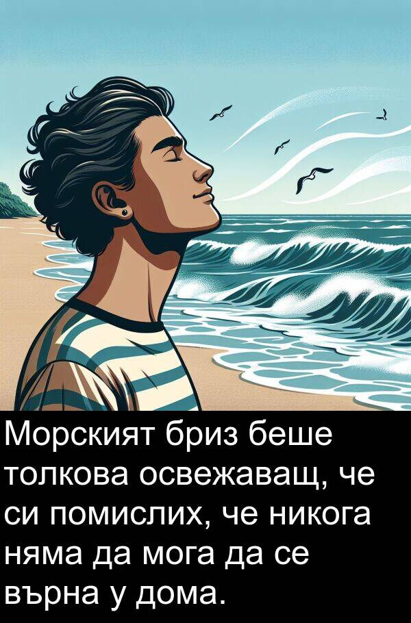 никога: Морският бриз беше толкова освежаващ, че си помислих, че никога няма да мога да се върна у дома.