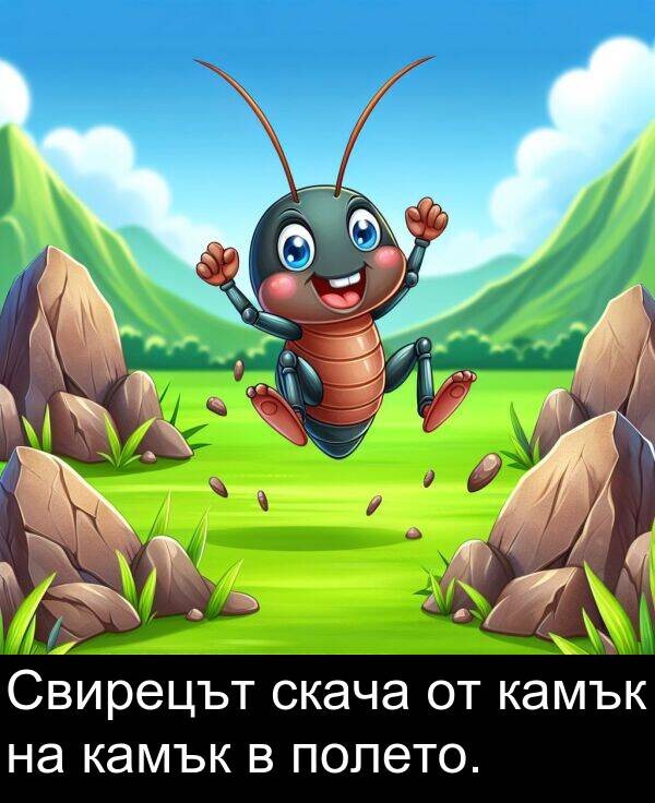 полето: Свирецът скача от камък на камък в полето.