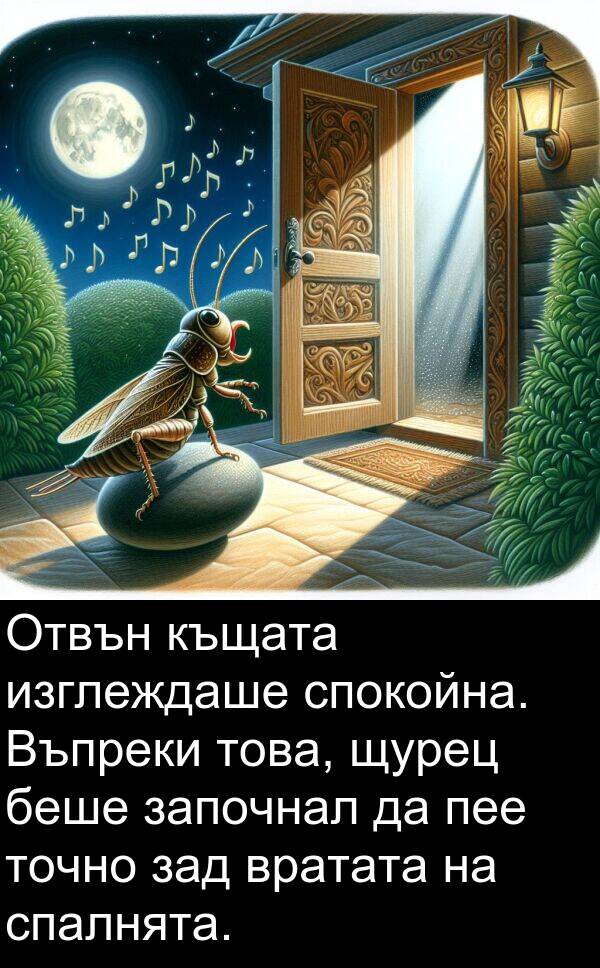 изглеждаше: Отвън къщата изглеждаше спокойна. Въпреки това, щурец беше започнал да пее точно зад вратата на спалнята.
