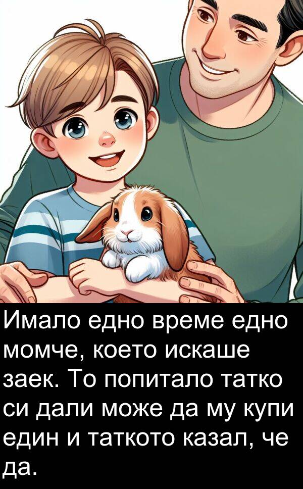 едно: Имало едно време едно момче, което искаше заек. То попитало татко си дали може да му купи един и таткото казал, че да.