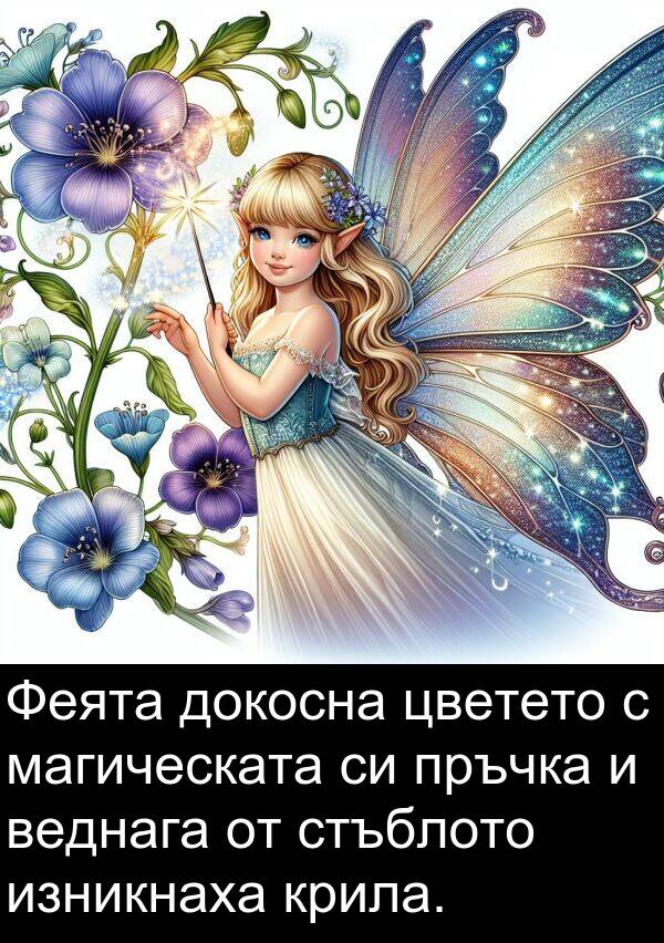 магическата: Феята докосна цветето с магическата си пръчка и веднага от стъблото изникнаха крила.