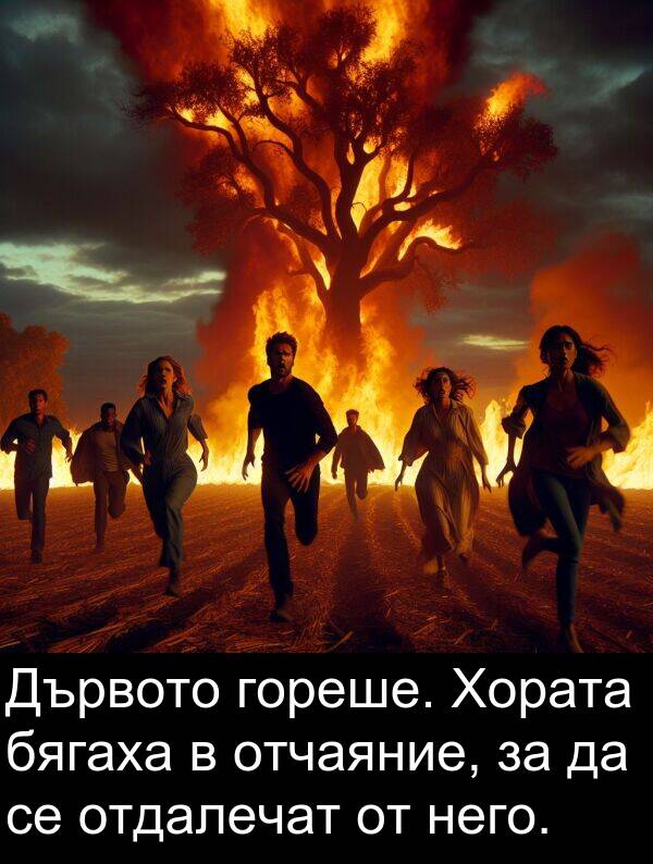 него: Дървото гореше. Хората бягаха в отчаяние, за да се отдалечат от него.