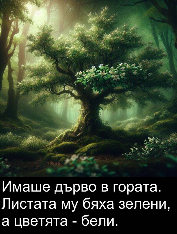 дърво: Имаше дърво в гората. Листата му бяха зелени, а цветята - бели.