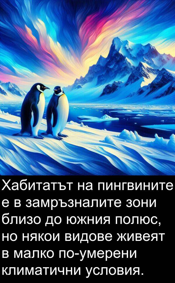 малко: Хабитатът на пингвините е в замръзналите зони близо до южния полюс, но някои видове живеят в малко по-умерени климатични условия.