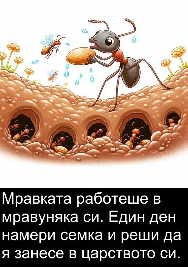 работеше: Мравката работеше в мравуняка си. Един ден намери семка и реши да я занесе в царството си.