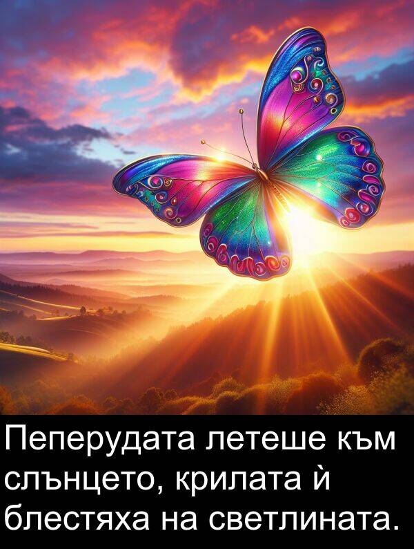 летеше: Пеперудата летеше към слънцето, крилата ѝ блестяха на светлината.