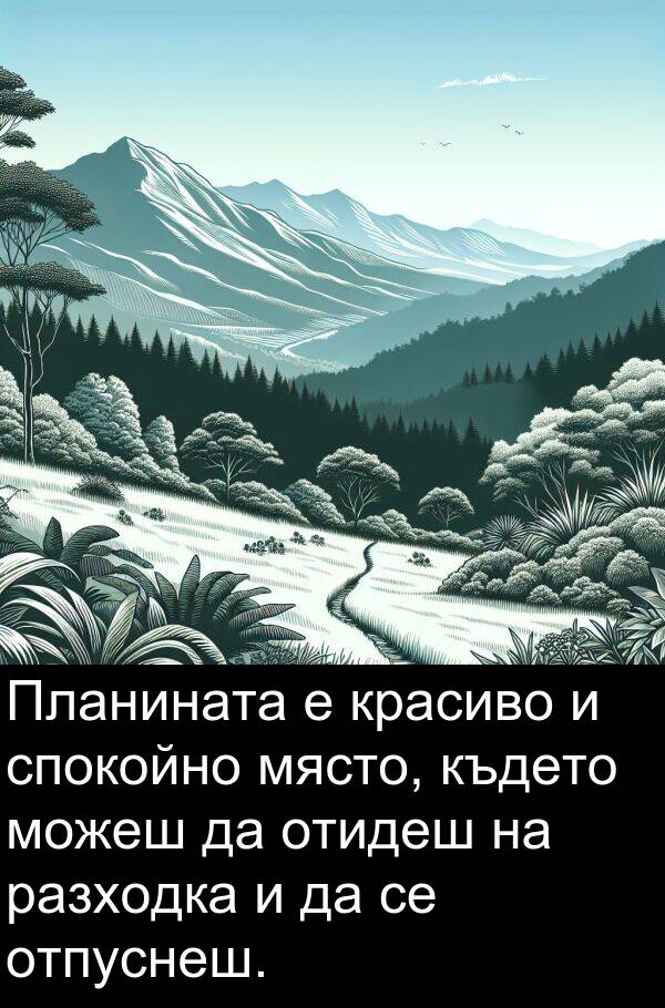разходка: Планината е красиво и спокойно място, където можеш да отидеш на разходка и да се отпуснеш.