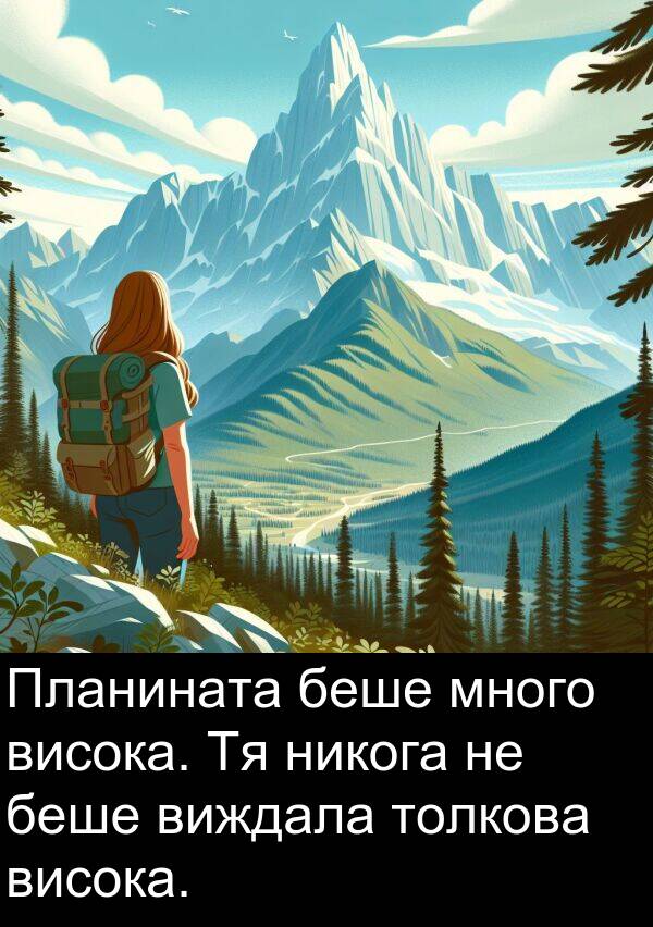 никога: Планината беше много висока. Тя никога не беше виждала толкова висока.
