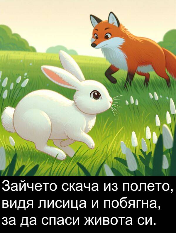 полето: Зайчето скача из полето, видя лисица и побягна, за да спаси живота си.