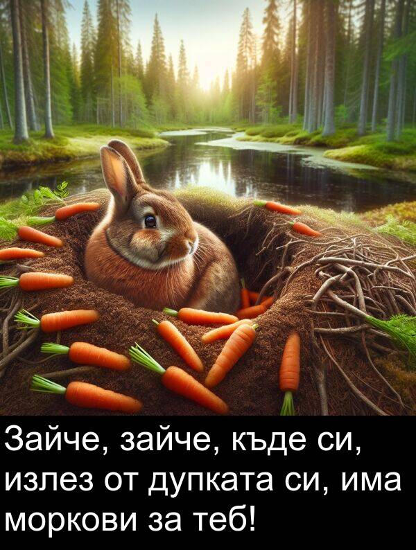 дупката: Зайче, зайче, къде си, излез от дупката си, има моркови за теб!