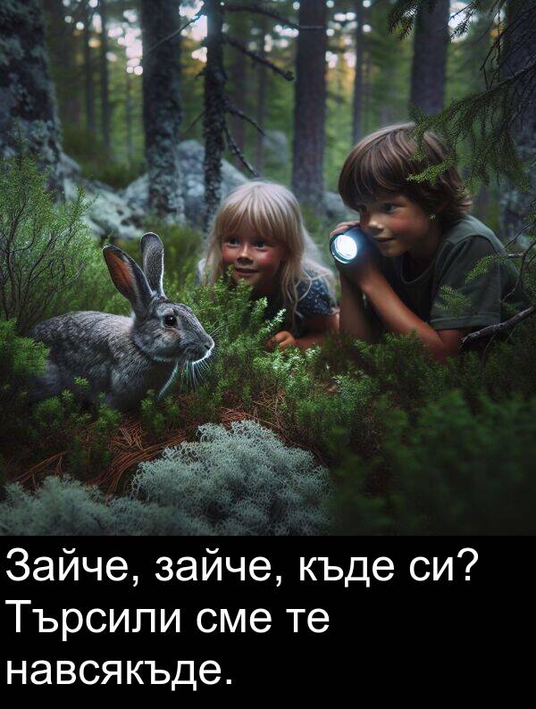 навсякъде: Зайче, зайче, къде си? Търсили сме те навсякъде.