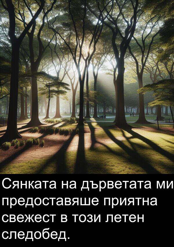 летен: Сянката на дърветата ми предоставяше приятна свежест в този летен следобед.