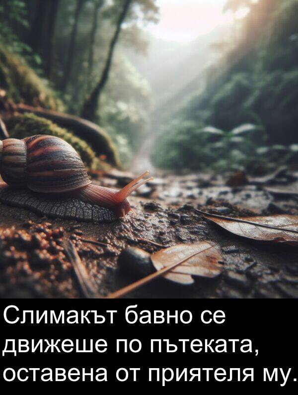 бавно: Слимакът бавно се движеше по пътеката, оставена от приятеля му.