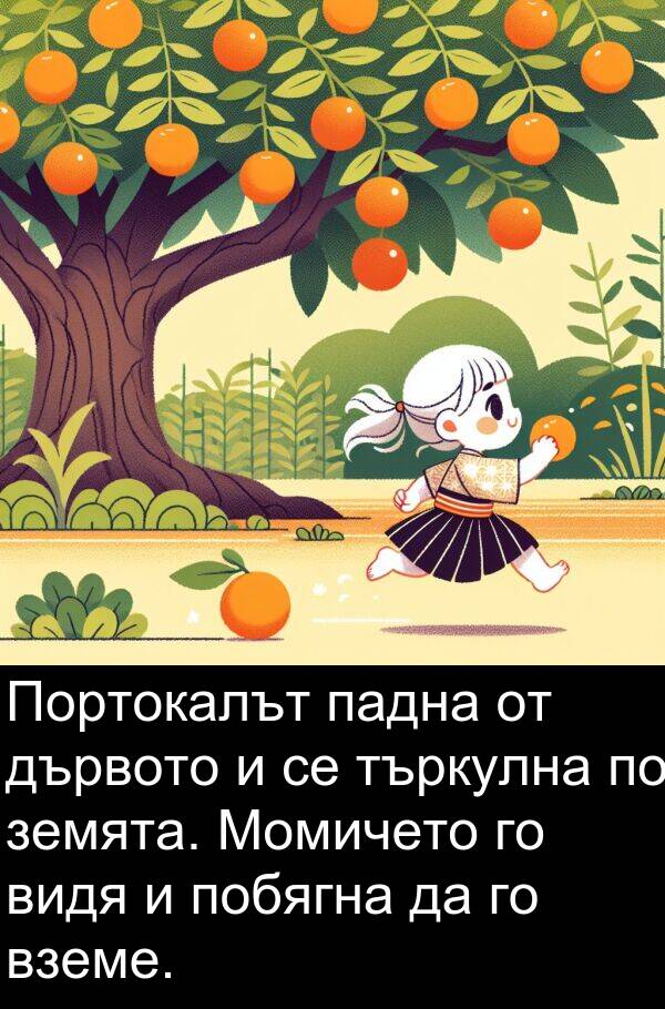 падна: Портокалът падна от дървото и се търкулна по земята. Момичето го видя и побягна да го вземе.